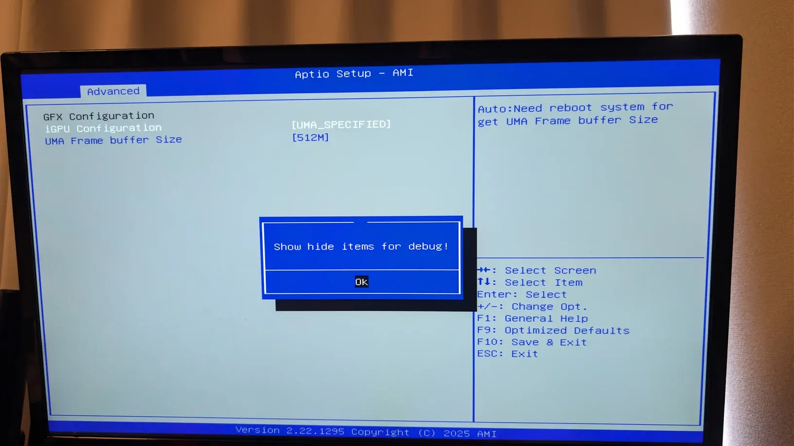 Alt + F5 を押すと、Show hide items for debug! が出る。